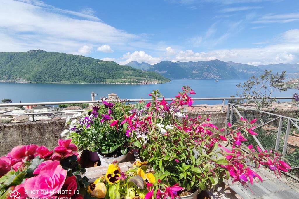 Gioiello Sul Lago D'Iseo Sale Marasino Eksteriør billede