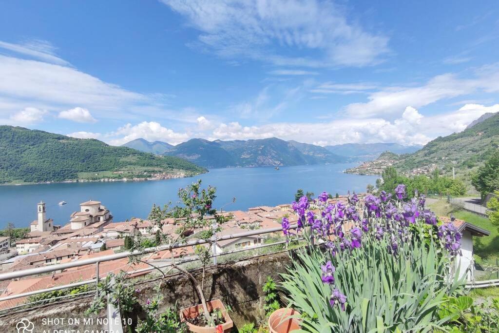 Gioiello Sul Lago D'Iseo Sale Marasino Eksteriør billede